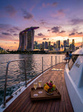 City Skyline Cruise
