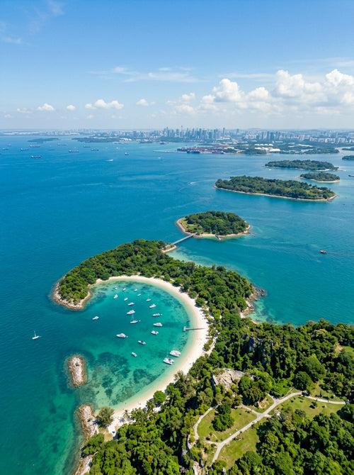 Add-on — Cruise Route